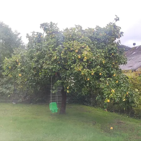 Monkey Factory - Mini Home-stay Vandrarhem Traben-Trarbach