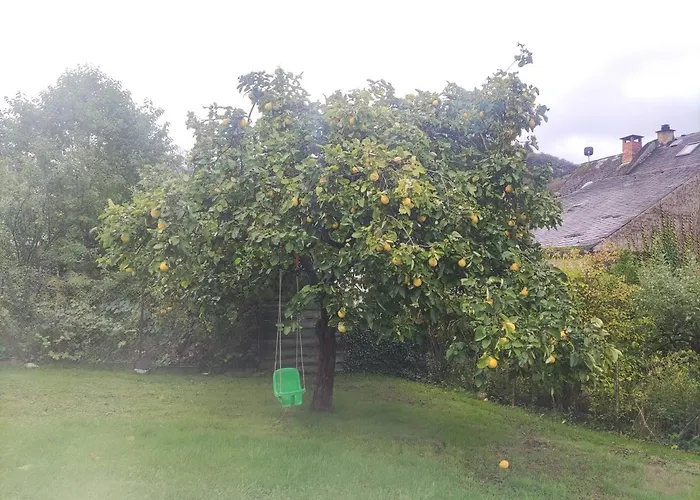 Monkey Factory - Mini Home-stay Хостел Трабен-Трарбах